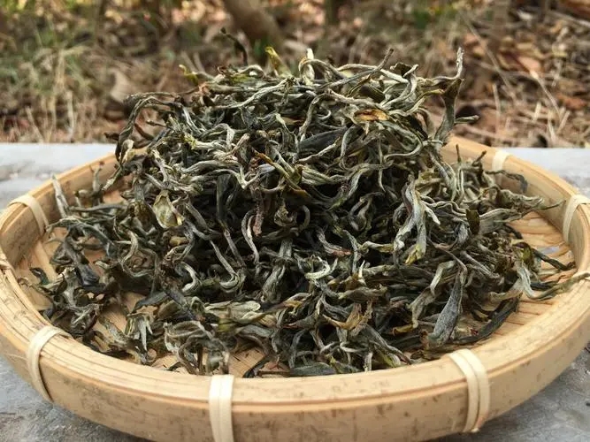 2023年易武張家灣古樹(shù)春茶品質(zhì)如何？