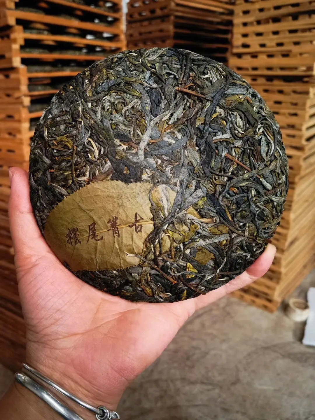 2023年寧洱擺尾箐古樹(shù)春茶品質(zhì)怎么樣？