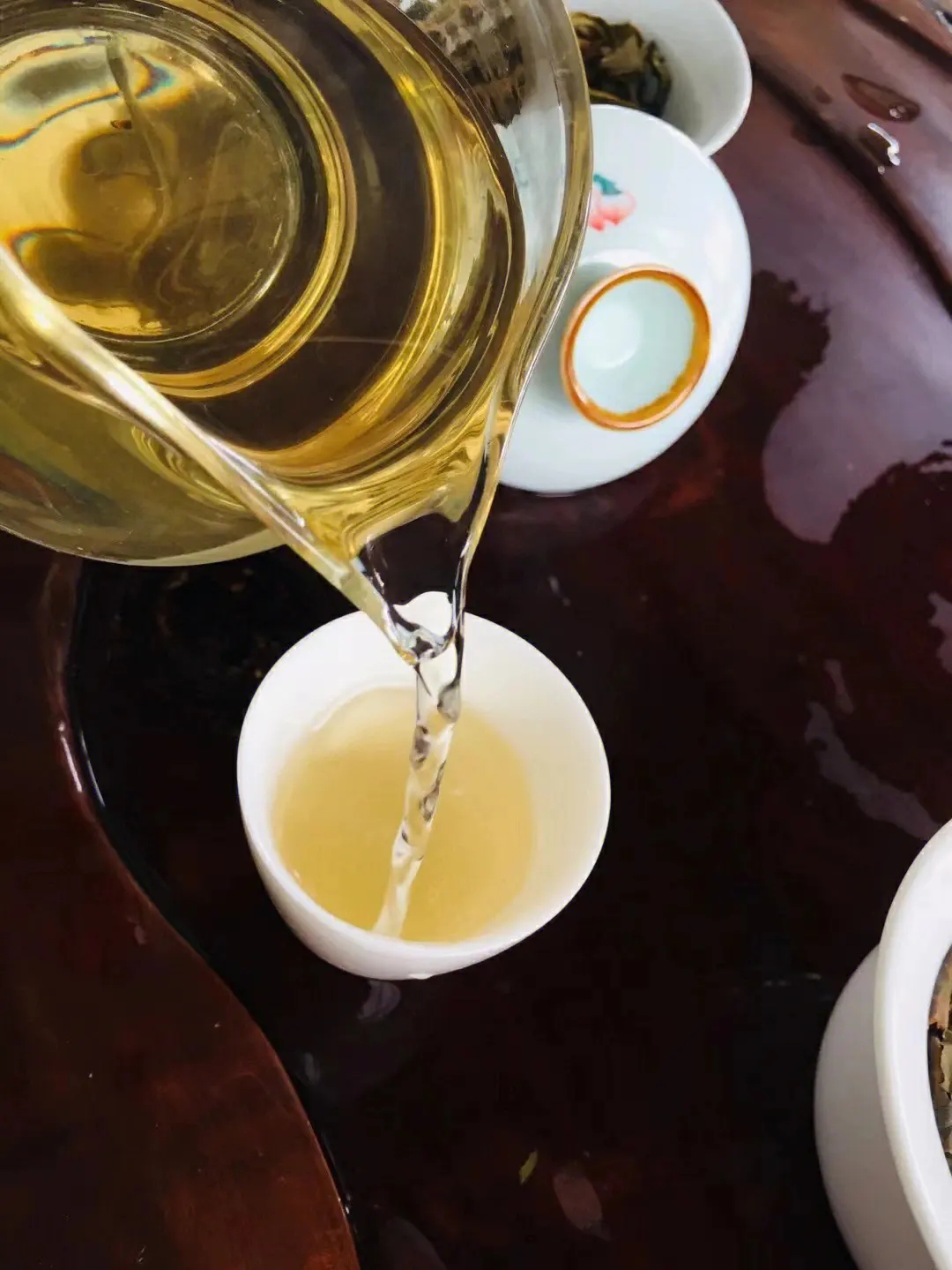 2023年鎮(zhèn)沅老海塘古樹春茶價(jià)格是多少？