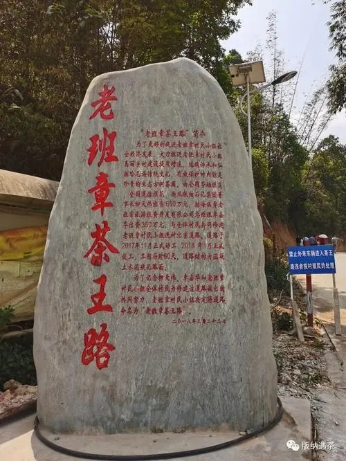 2024年老班章古樹春茶品質(zhì)如何？