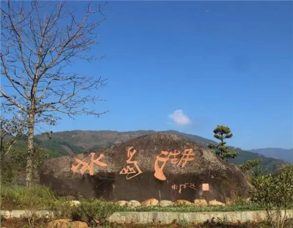 2024年冰島老寨古樹春茶品質(zhì)怎么樣？