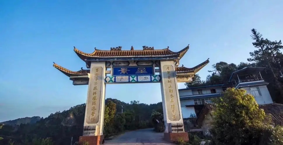 2024年墨江鳳凰窩古樹春茶特點(diǎn)是什么？