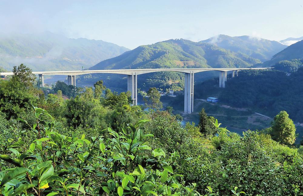 2024年昔歸古樹春茶品質(zhì)如何？