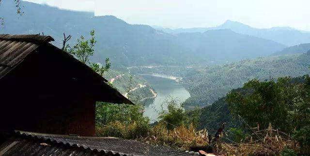 2024年磨烈古樹春茶價格多少？