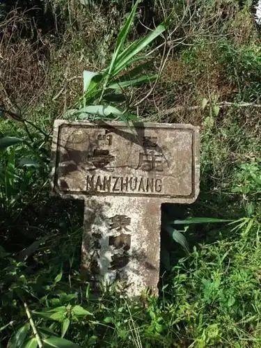 2025年蠻磚古樹春茶特點(diǎn)是什么？